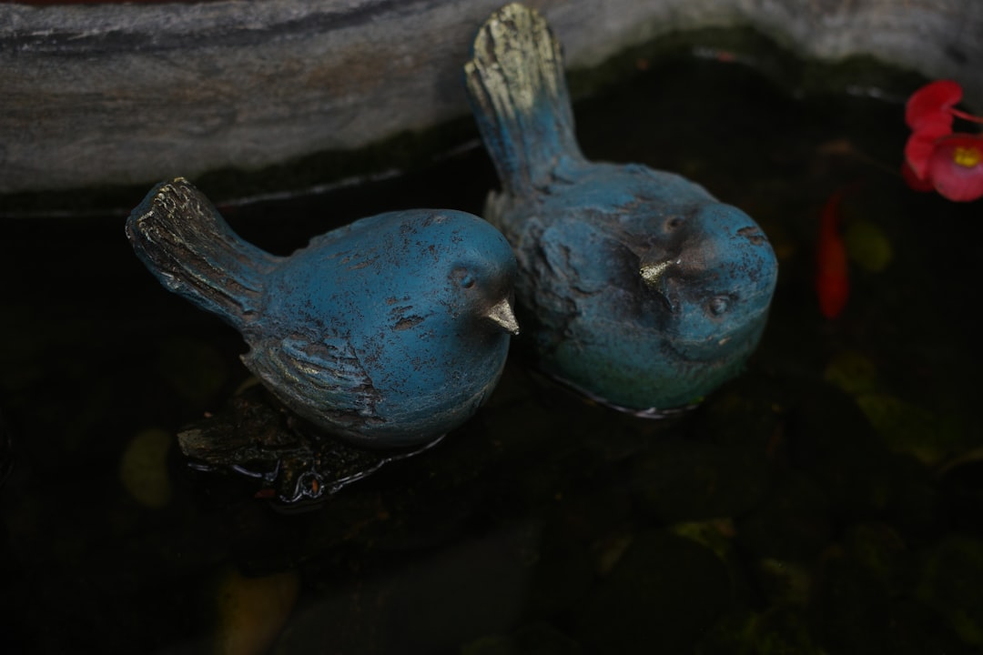 Altijd genoeg drinken met de Cabau waterfles